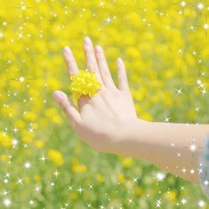 Meet your Posher, Soma